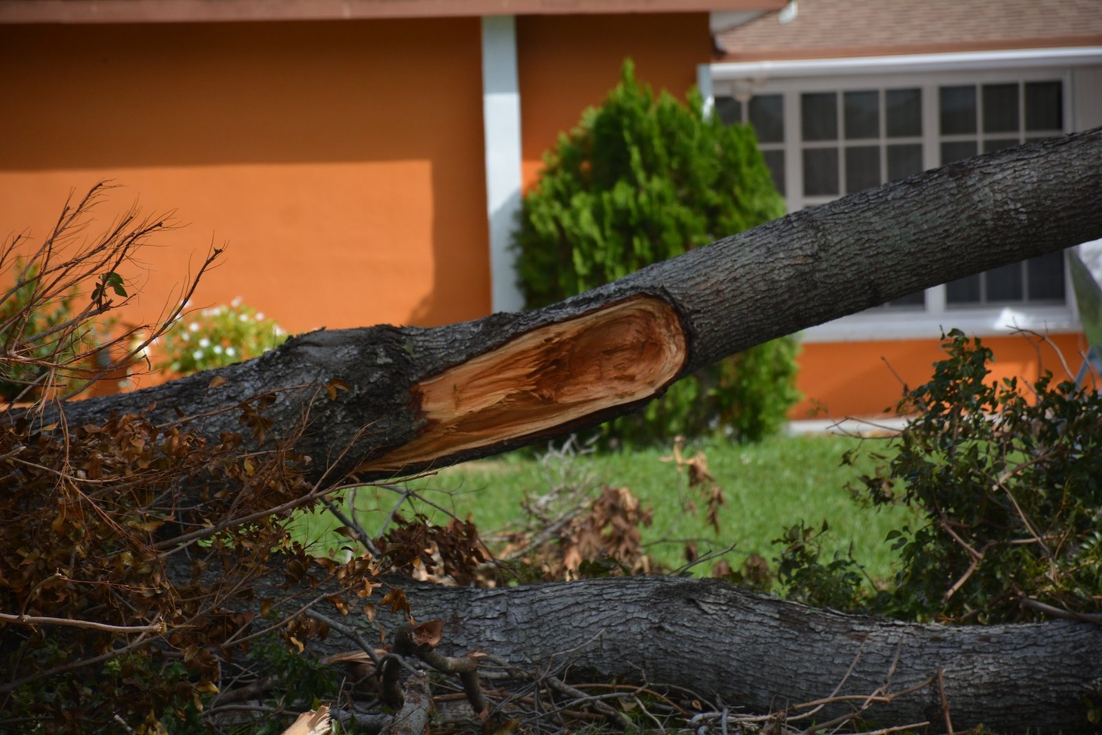 Lee más sobre el artículo RESPONSABILIDAD CIVIL: ¿QUÉ ES Y POR QUÉ ES CLAVE PARA PROTEGER TU PATRIMONIO?