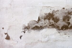 💧 CÓMO PROTEGER TU VIVIENDA DE LA HUMEDAD Y LAS FILTRACIONES