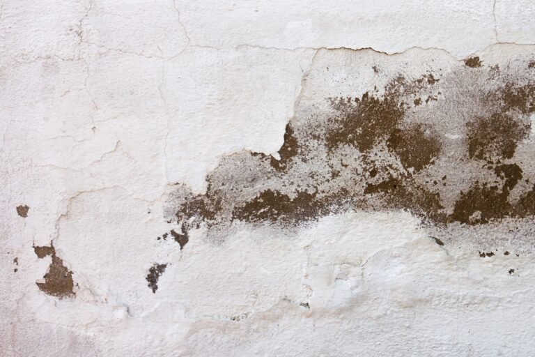 Lee más sobre el artículo 💧 CÓMO PROTEGER TU VIVIENDA DE LA HUMEDAD Y LAS FILTRACIONES
