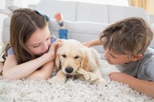 CÓMO PREVENIR ACCIDENTES CON NIÑOS Y MASCOTAS EN CASA